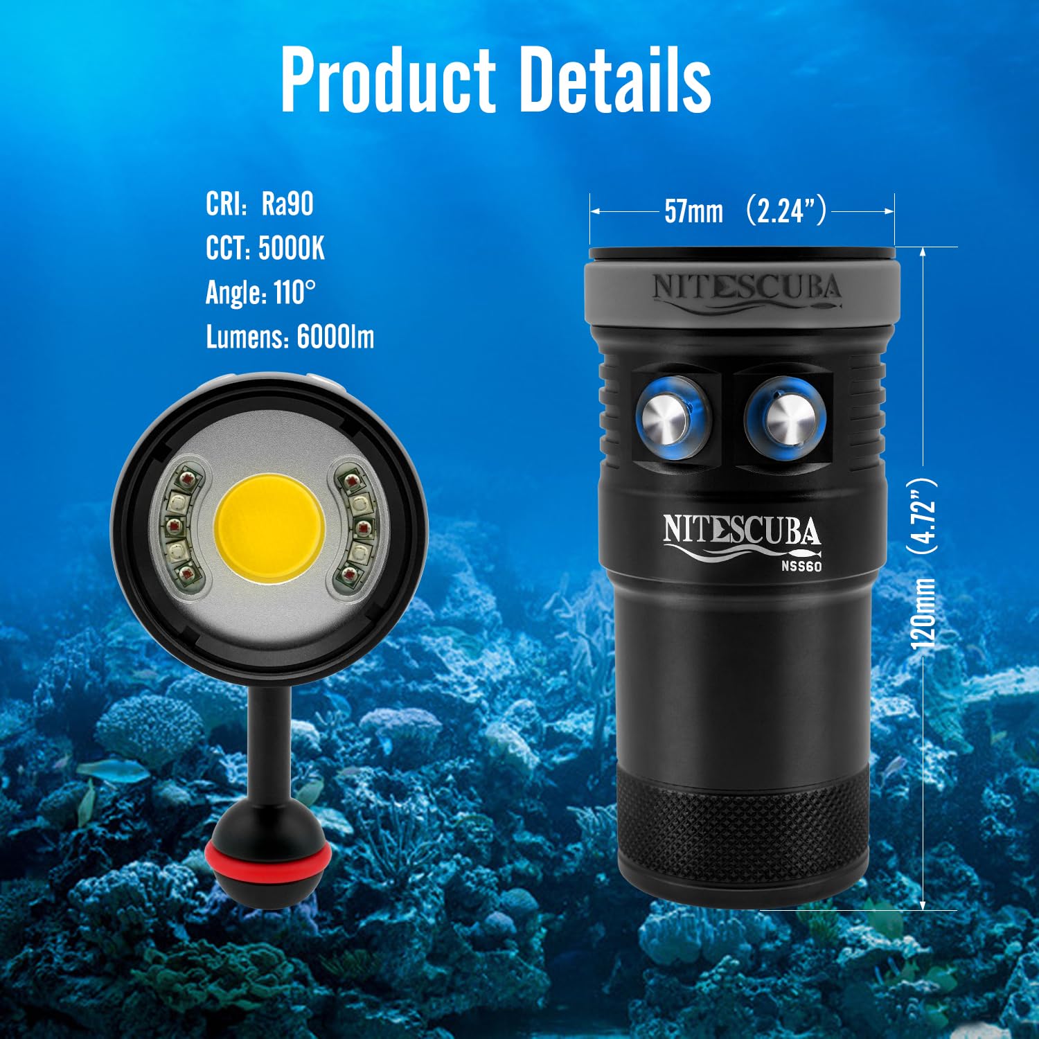 Amazon.co.jp: Nitescuba スキューバダイビングライト 水中ビデオ